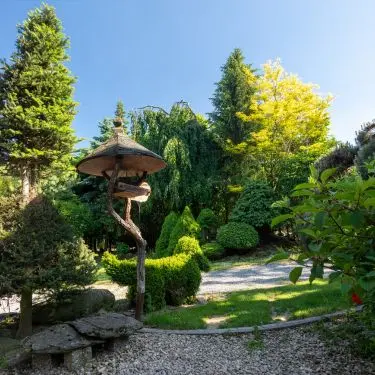 Plantning af nåletræer og andre coniferer
